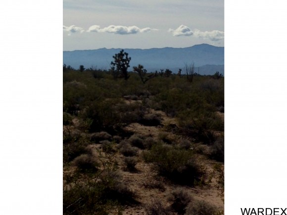 3282 Goldmine Lane, Yucca, AZ 86438