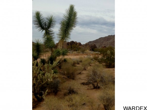 3282 Goldmine Lane, Yucca, AZ 86438