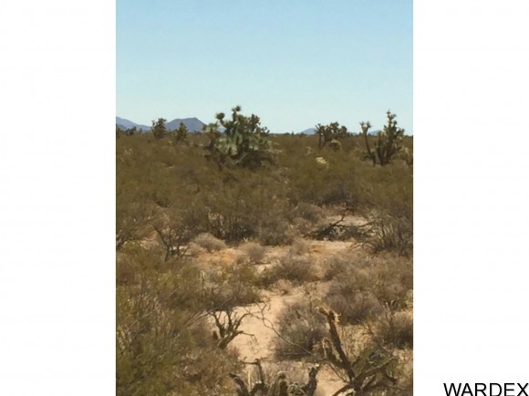 71 Appaloosa Rd, Yucca, AZ 86438