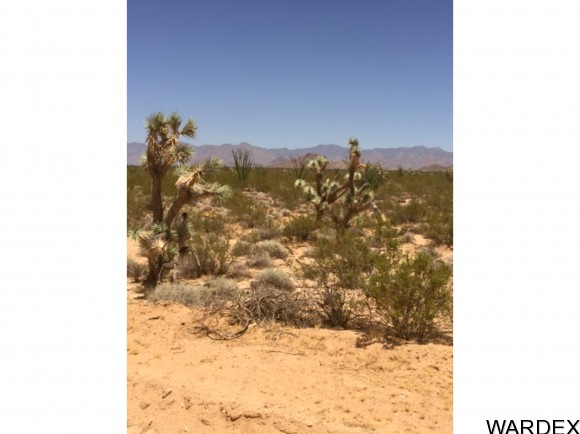 71 Appaloosa Rd, Yucca, AZ 86438