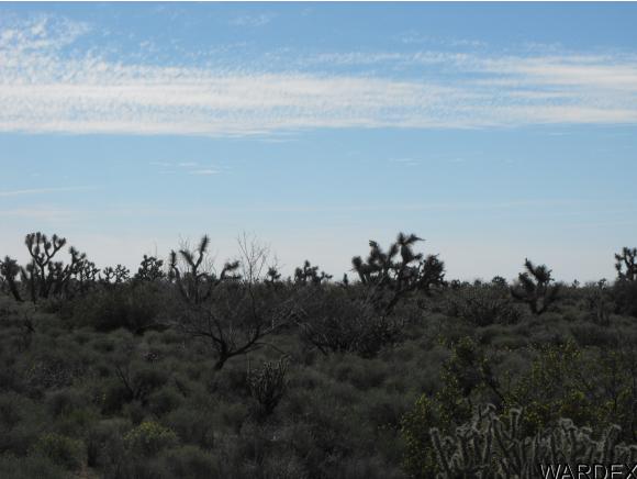 Lot 1025 E Rimrock Dr, Yucca, AZ 86438