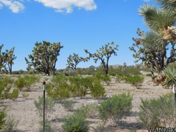 6292 W 20th St, Dolan Springs, AZ 86441