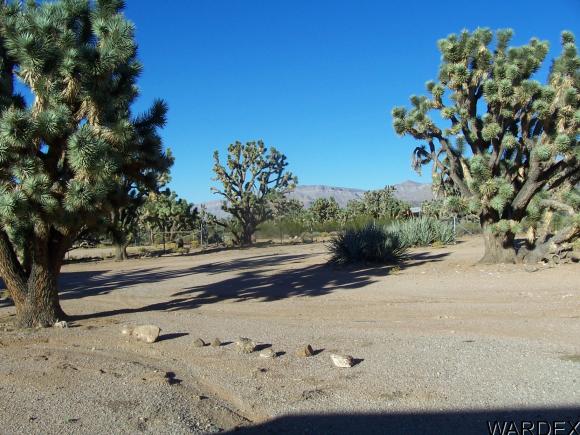 26195 N PEAR AVE, Meadview, AZ 86444