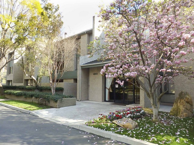 4041 Via Marisol #202Los Angeles, CA, 90042Los Angeles County