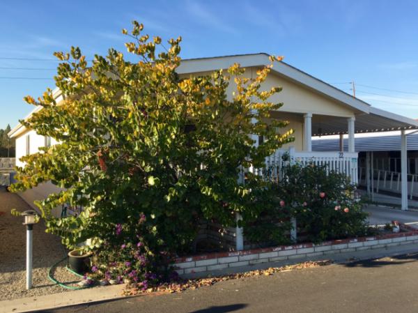 Royal Oak10681 Oak St. #22Los Alamitos, CA 90720