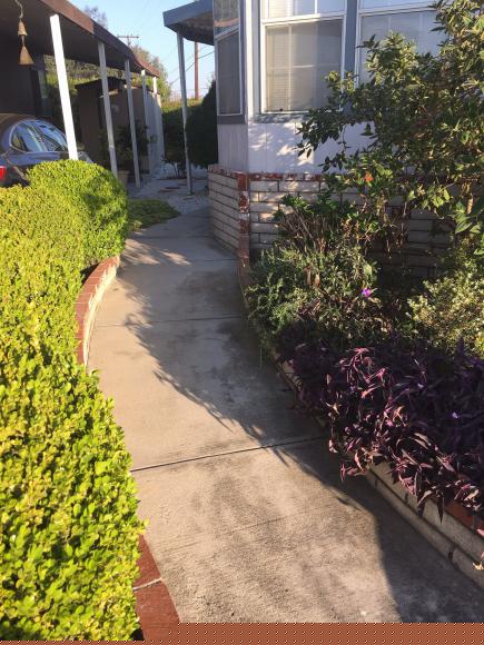 Royal Oak10681 Oak St. #62Los Alamitos, CA 90720