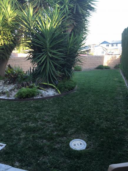 Royal Oak10681 Oak St. #62Los Alamitos, CA 90720