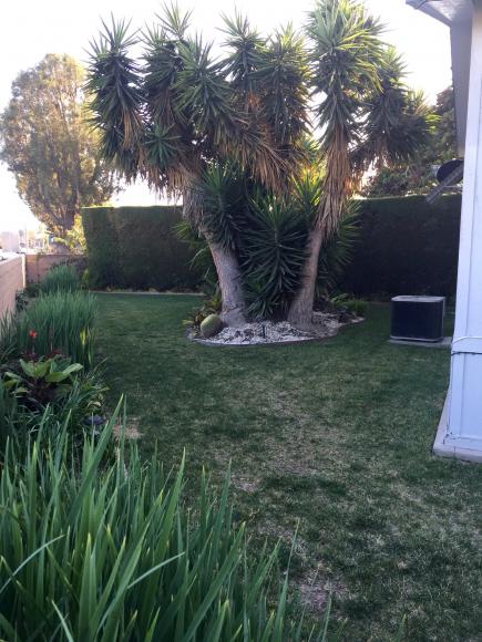 Royal Oak10681 Oak St. #62Los Alamitos, CA 90720