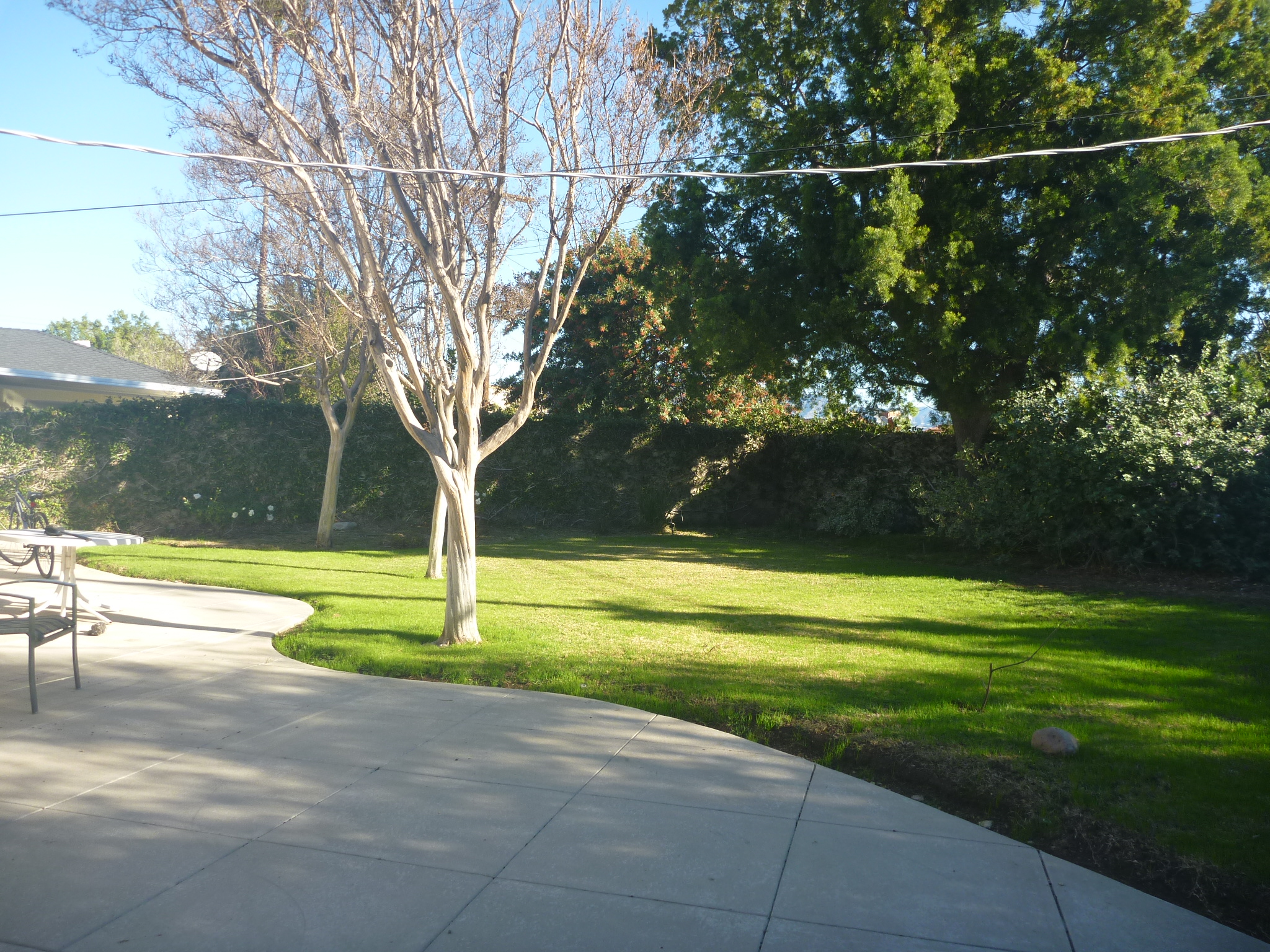 10214 Petit Ave, North Hills, United States 91343