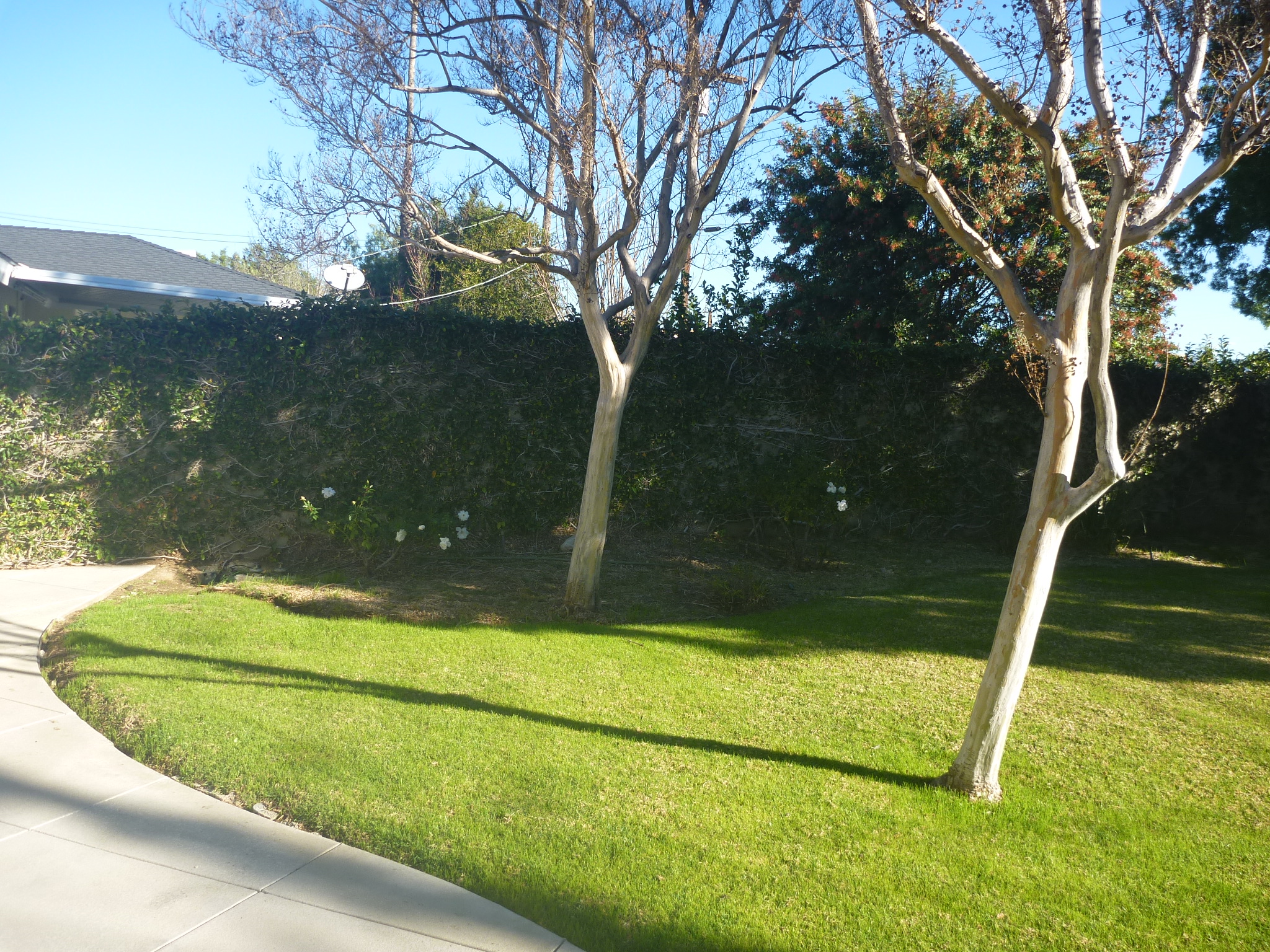 10214 Petit Ave, North Hills, United States 91343