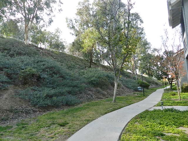 26908 Flo Lane Unit 461Santa Clarita, CA, 91351Los Angeles County