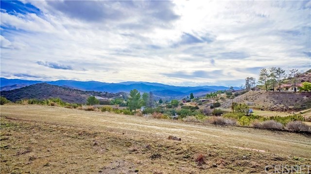 33950 Hanawalt Road, Agua Dulce, CA 91390