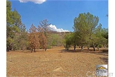 0 Bouquet Cyn, Saugus, CA 91390