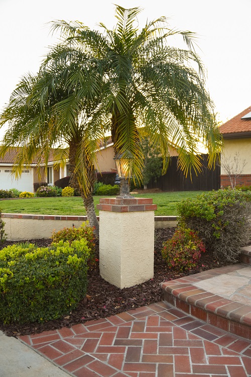 1533 Avenida Loma Vista, San Dimas, United States 91773