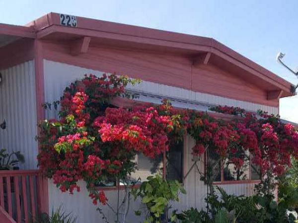 Palace Garden Mobile Home Park1425 2ND AVESP#223Chula Vista, CA 91911