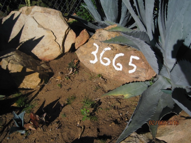 3665 Wisecarver Lane, Jamul, CA 91935