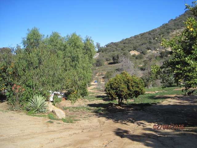 3665 Wisecarver Lane, Jamul, CA 91935