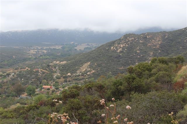 3665 Wisecarver Lane, Jamul, CA 91935