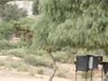 18266 W Boundary Truck Trail, Jamul, CA 91935