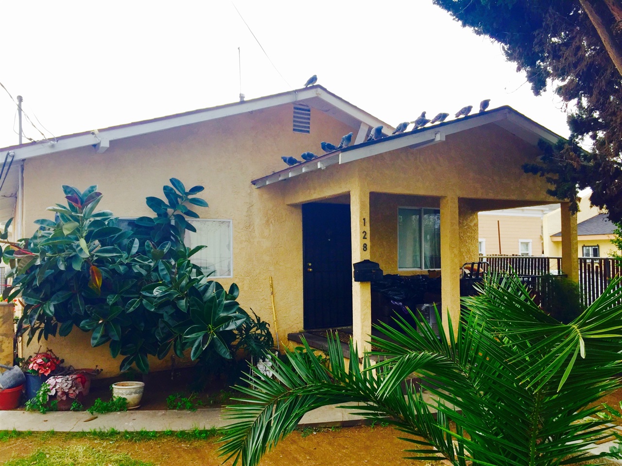 742 Paradise Way