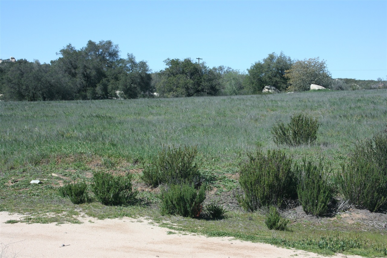 25326 POTRERO VALLEY RD., Potrero, CA 91963