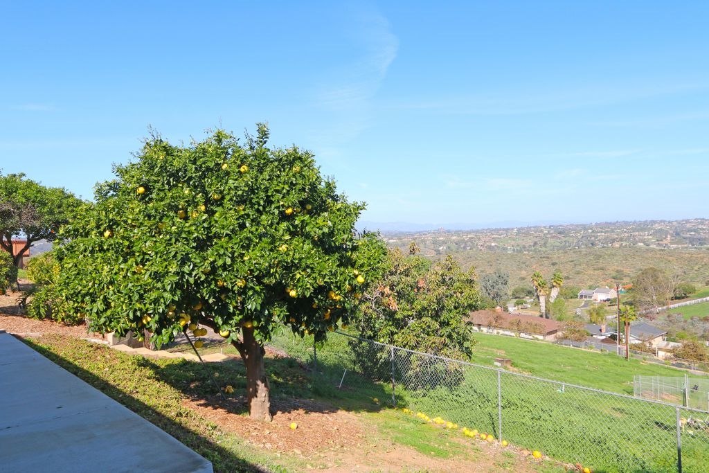5941 Redondo Drive, Bonsall, CA 92003