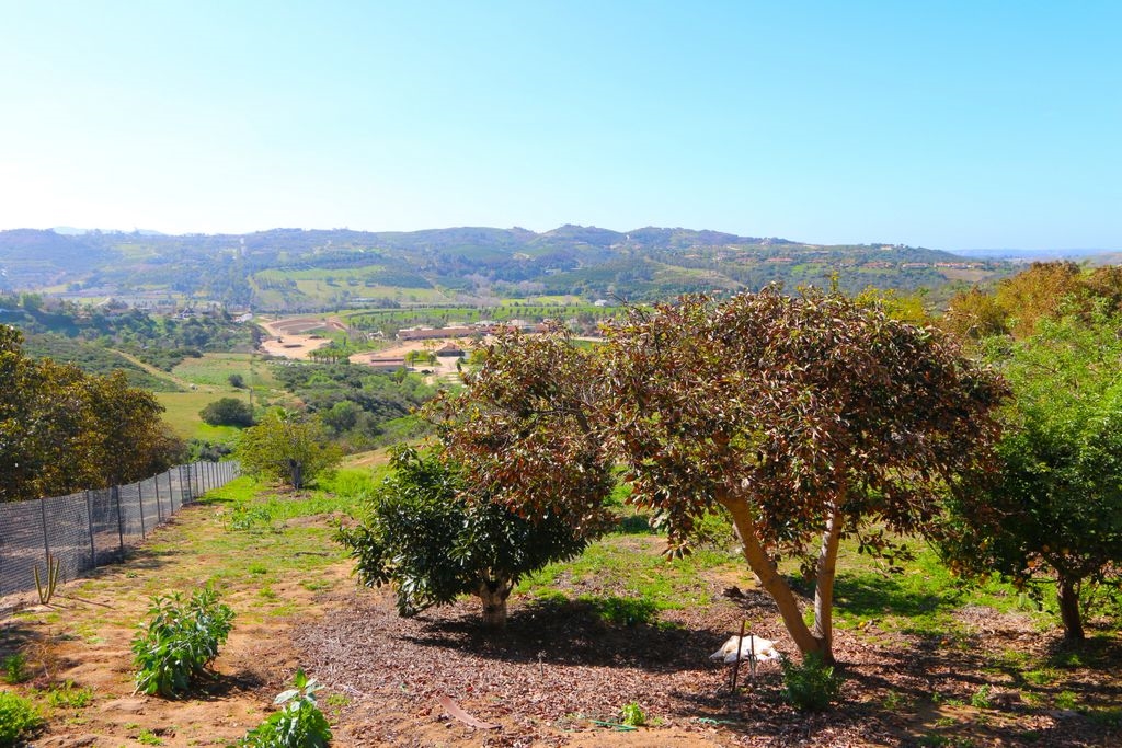 5941 Redondo Drive, Bonsall, CA 92003