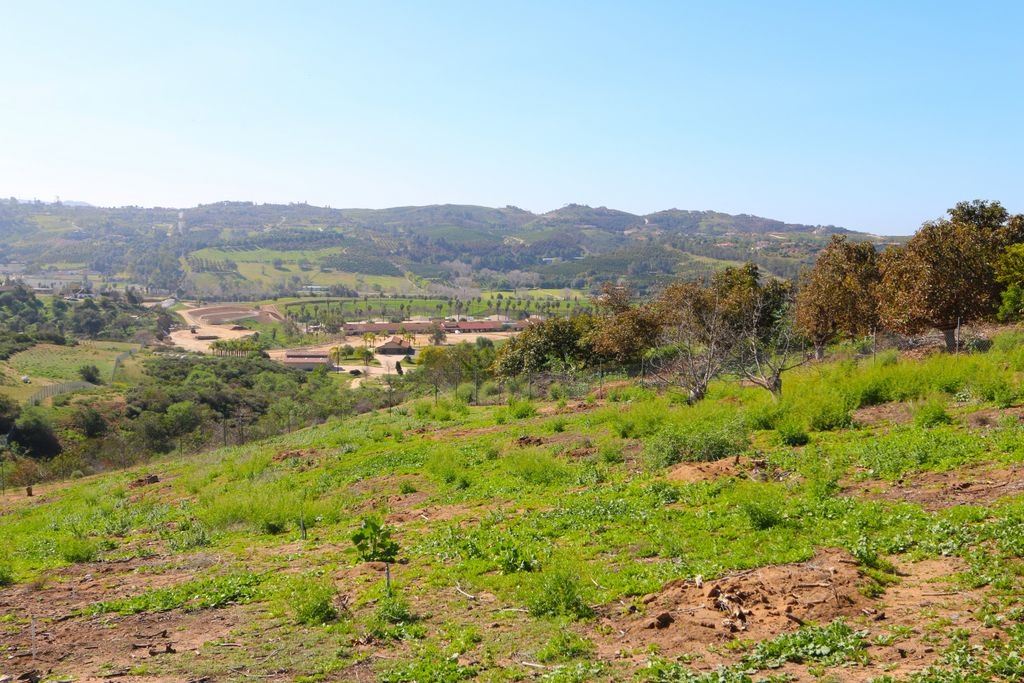 5941 Redondo Drive, Bonsall, CA 92003