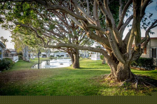 Lakeshore Gardens Mobile Home Community7227 Santa Barbara #307Carlsbad, CA 92011