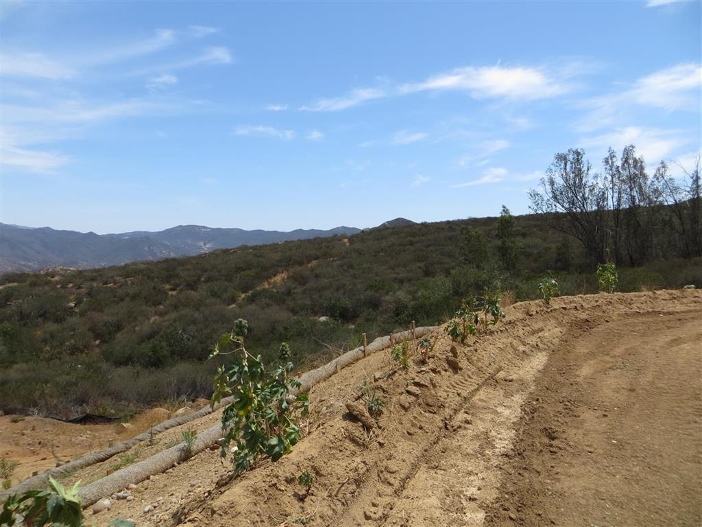 494 Sunrise Mountain Road, El Cajon, CA 92021