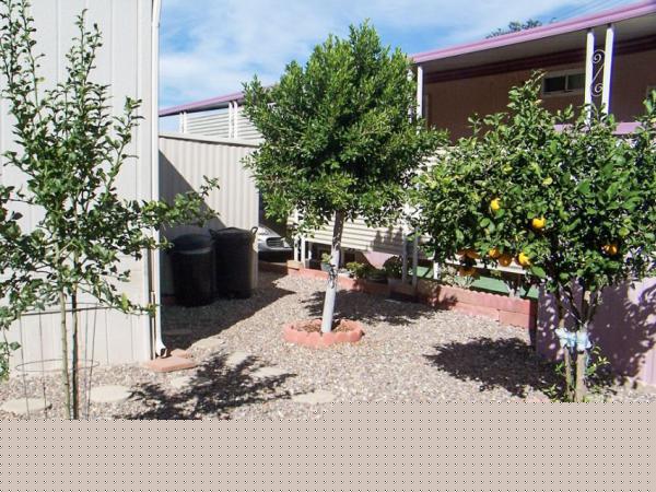 Safari Mobile Lodge1174 E. Main St. #70El Cajon, CA 92021