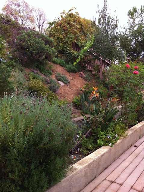 3610 Mary Ln, Escondido, CA 92025