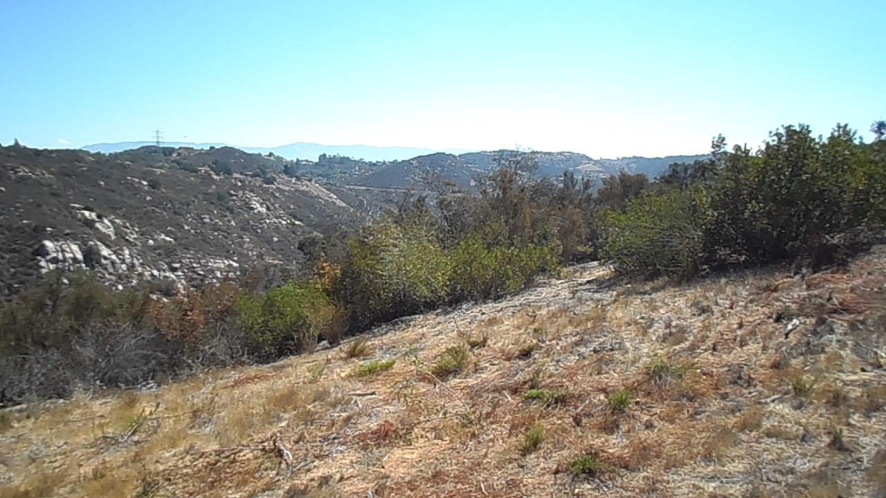 Lotus Pond 3, Escondido, CA 92026