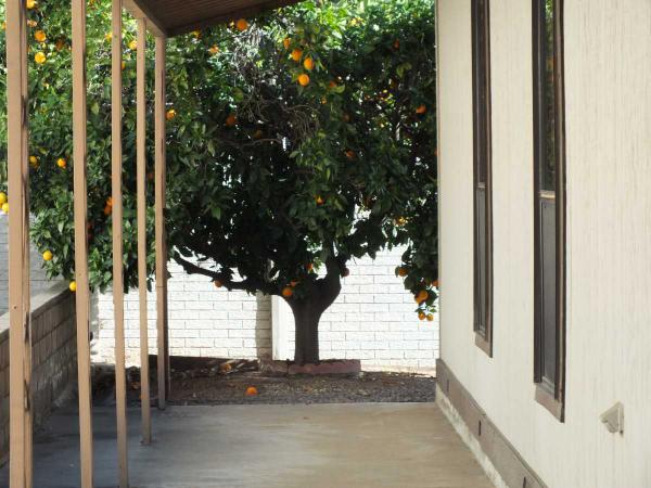 Citrus Gardens Inc 1642 Lotus GlenEscondido, CA 92026