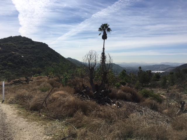 Meadow Glen Way E, Escondido, CA 92026