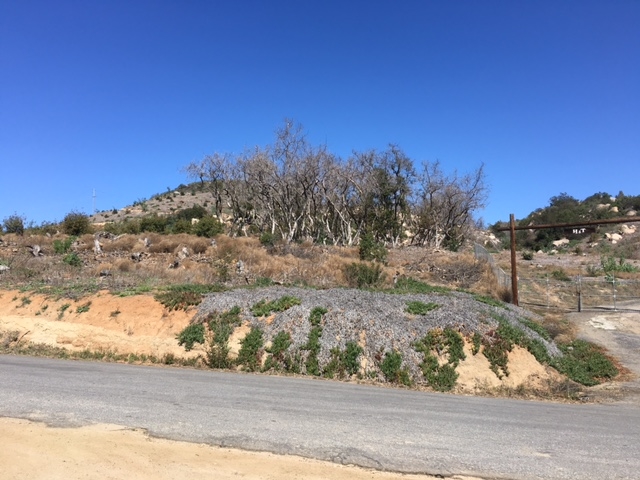 Meadow Glen Way E, Escondido, CA 92026