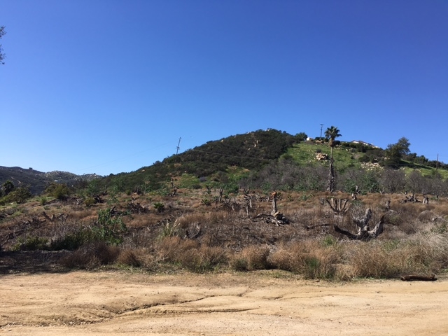 Meadow Glen Way E, Escondido, CA 92026