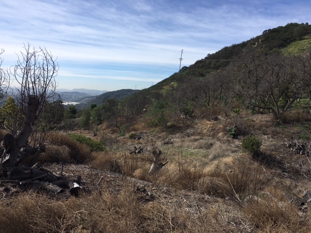 Meadow Glen Way E, Escondido, CA 92026