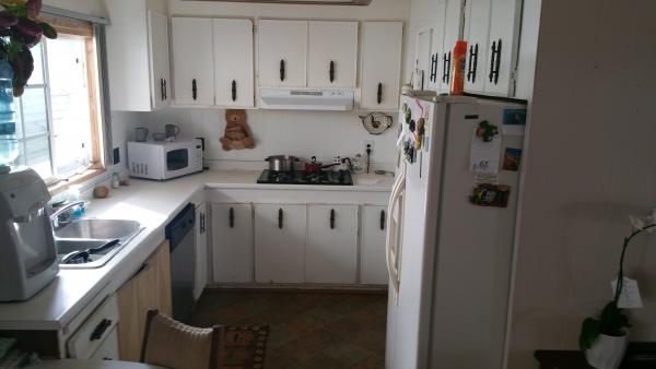 319 BLUE SPRINGS LANE, SP. 319
