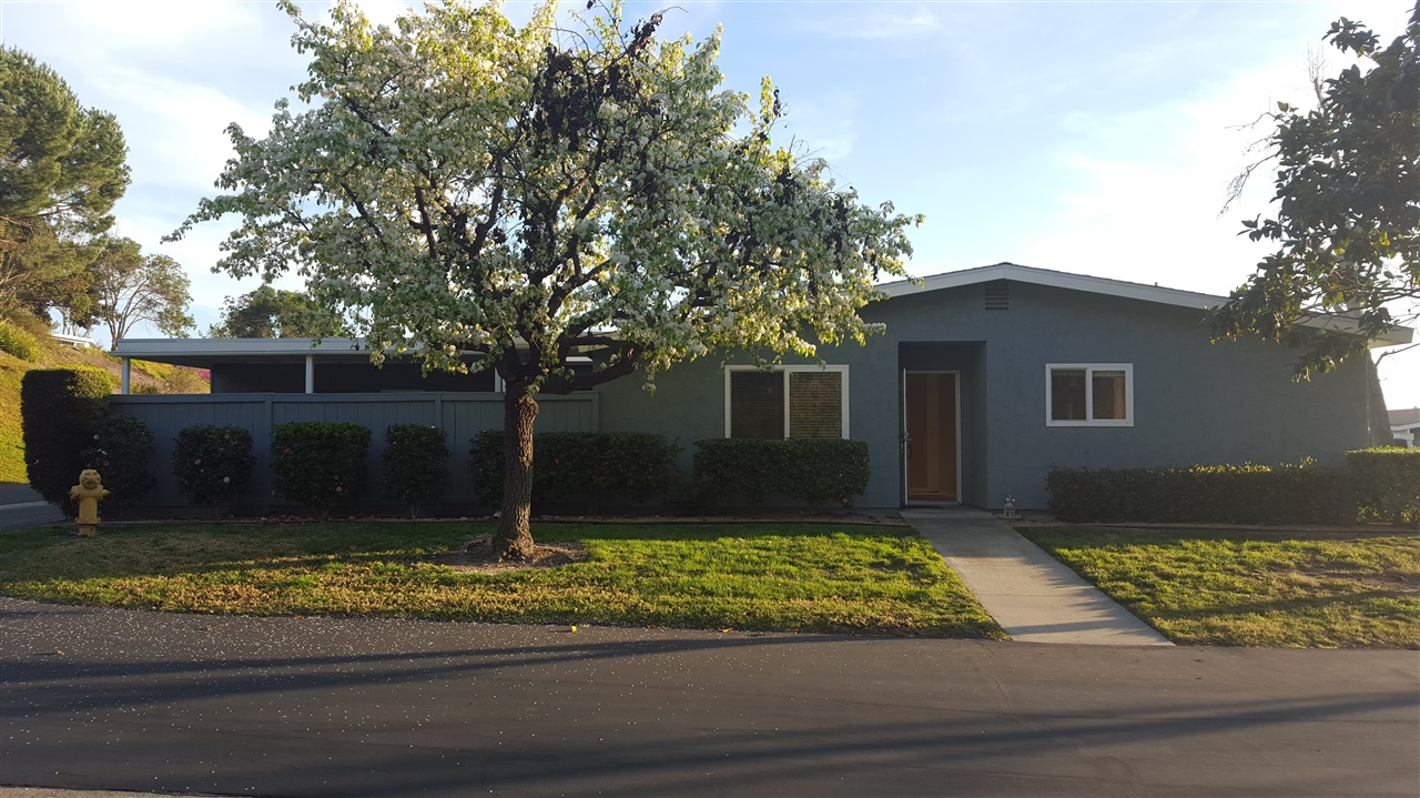 3704 Clove Way