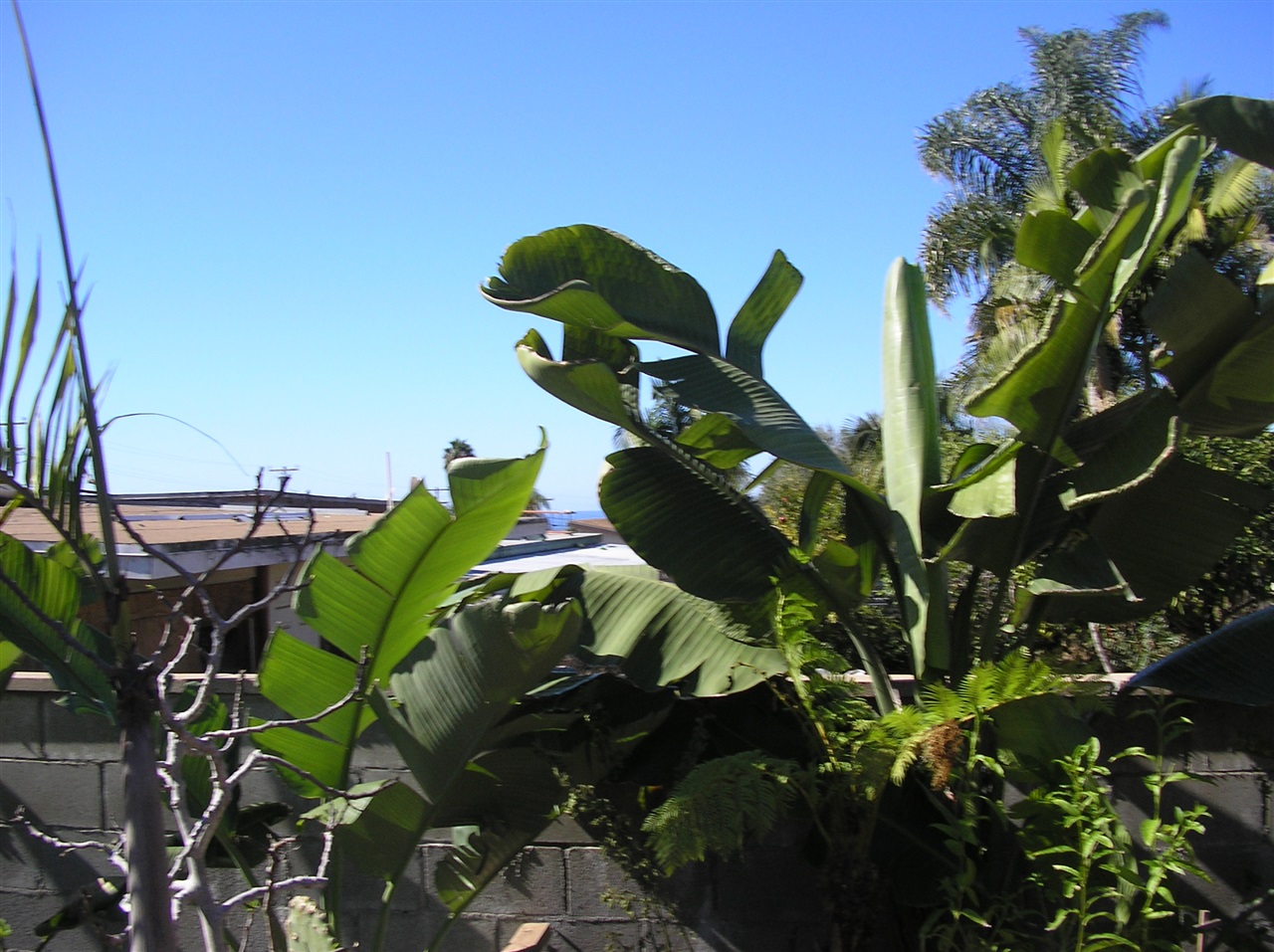 1750 Kraft Street, Oceanside, CA 92058