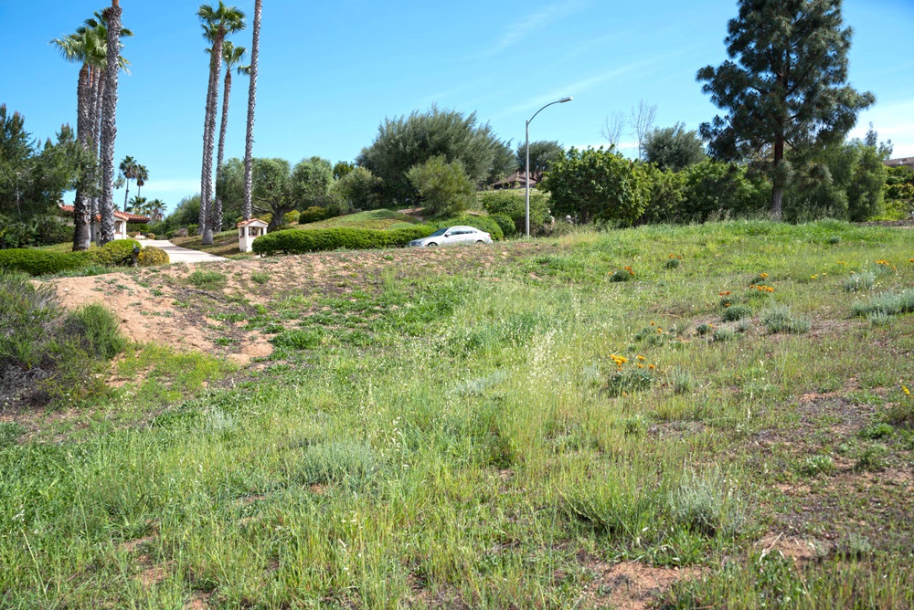 Poway, United States 92064