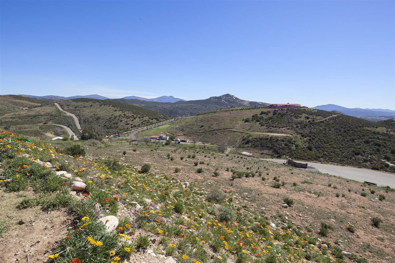24919 Starlight Mountain Rd, Ramona, CA 92065