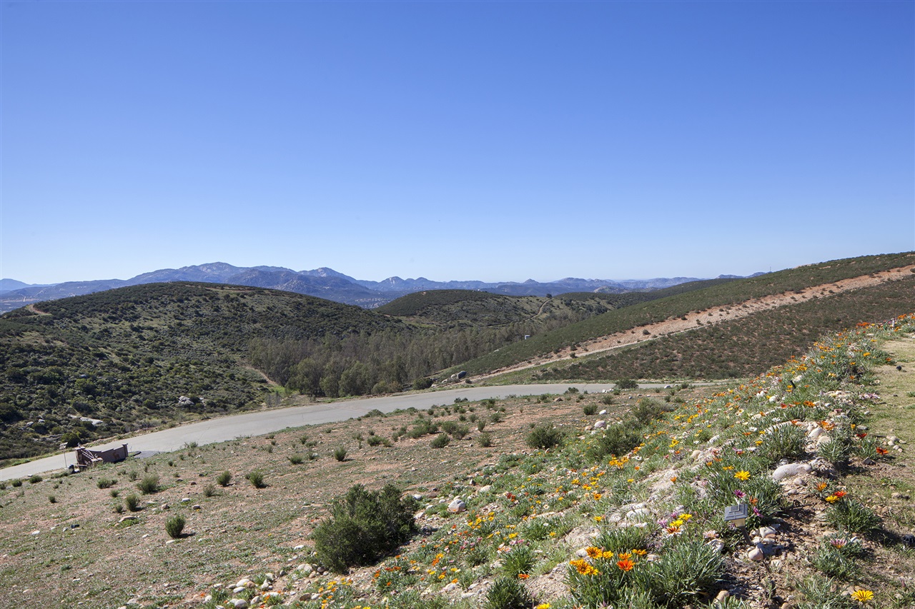 24919 Starlight Mountain Rd, Ramona, CA 92065