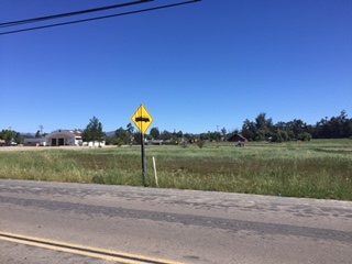 00000 San Vicente Road, Ramona, CA 92065