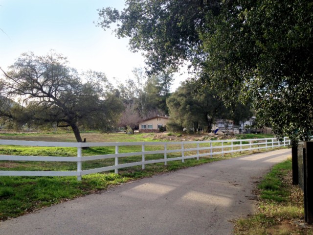 16604 Adrienne Way