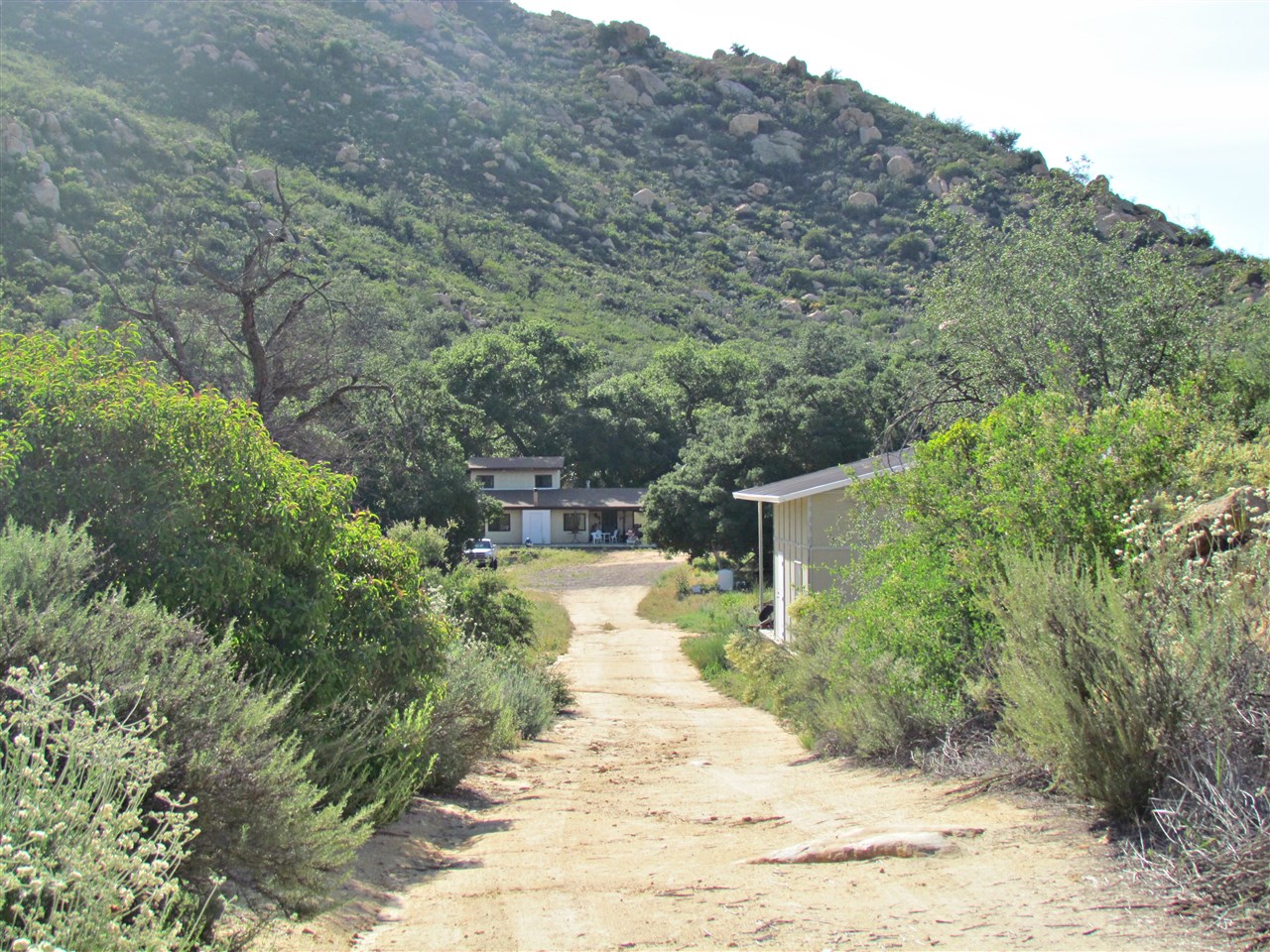 24993 Painted Rock Rd