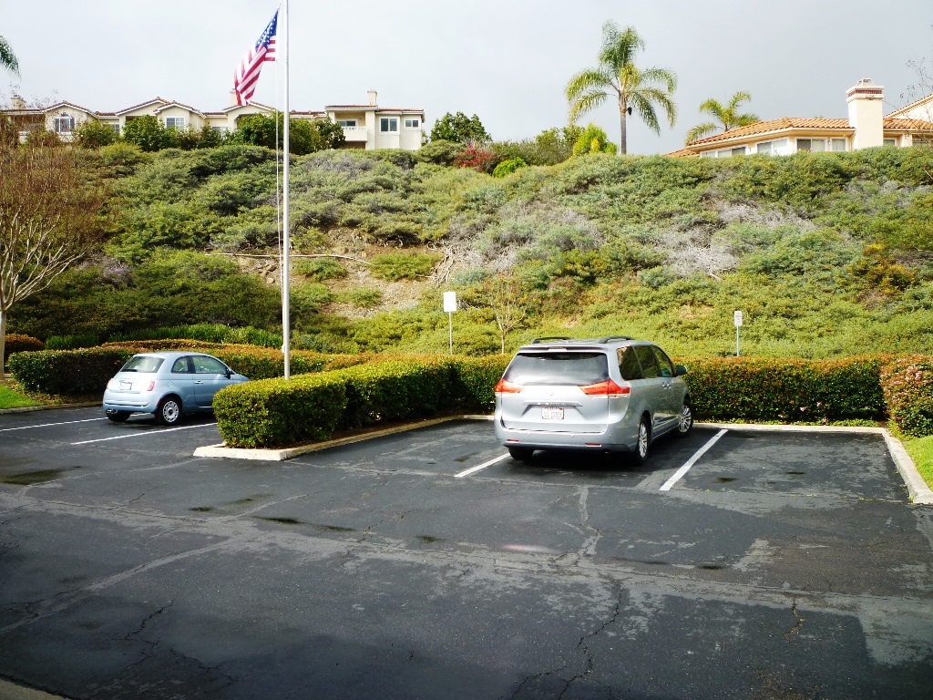 1226 Rue Saint Martin, San Marcos, CA 92078