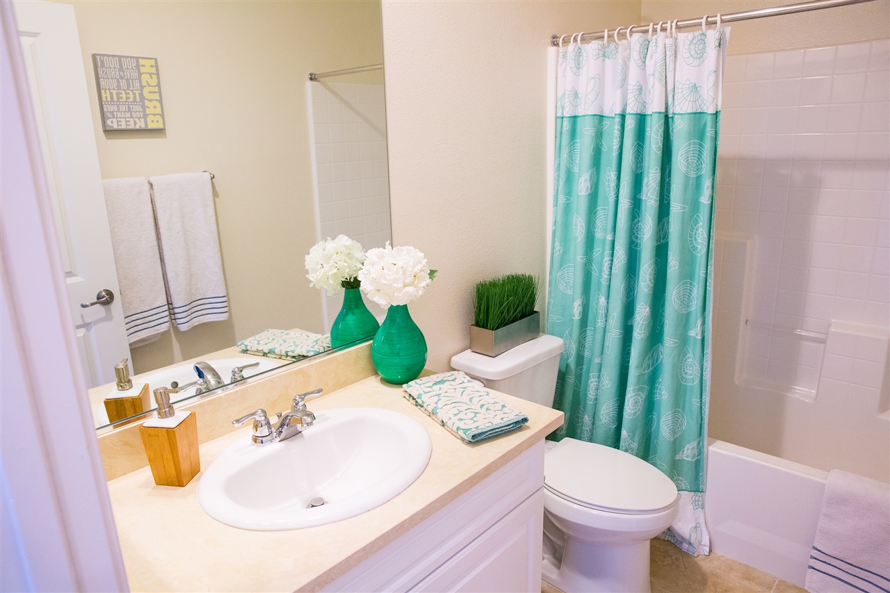 1439 Chert, San Marcos, CA 92078