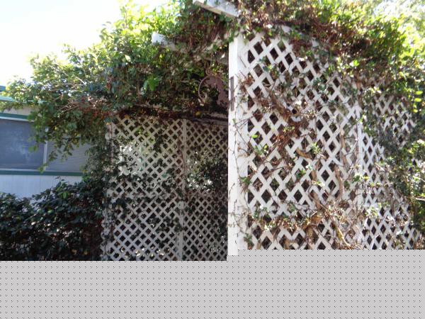 Ocean Bluffs MH Estates3540 DEL SOL BLVD #118San Diego, CA 92154